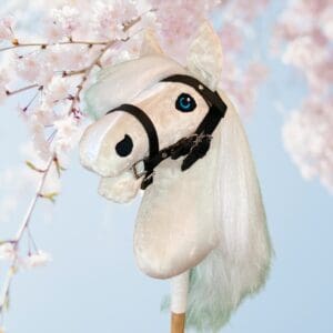 Hoofdstellen & teugels