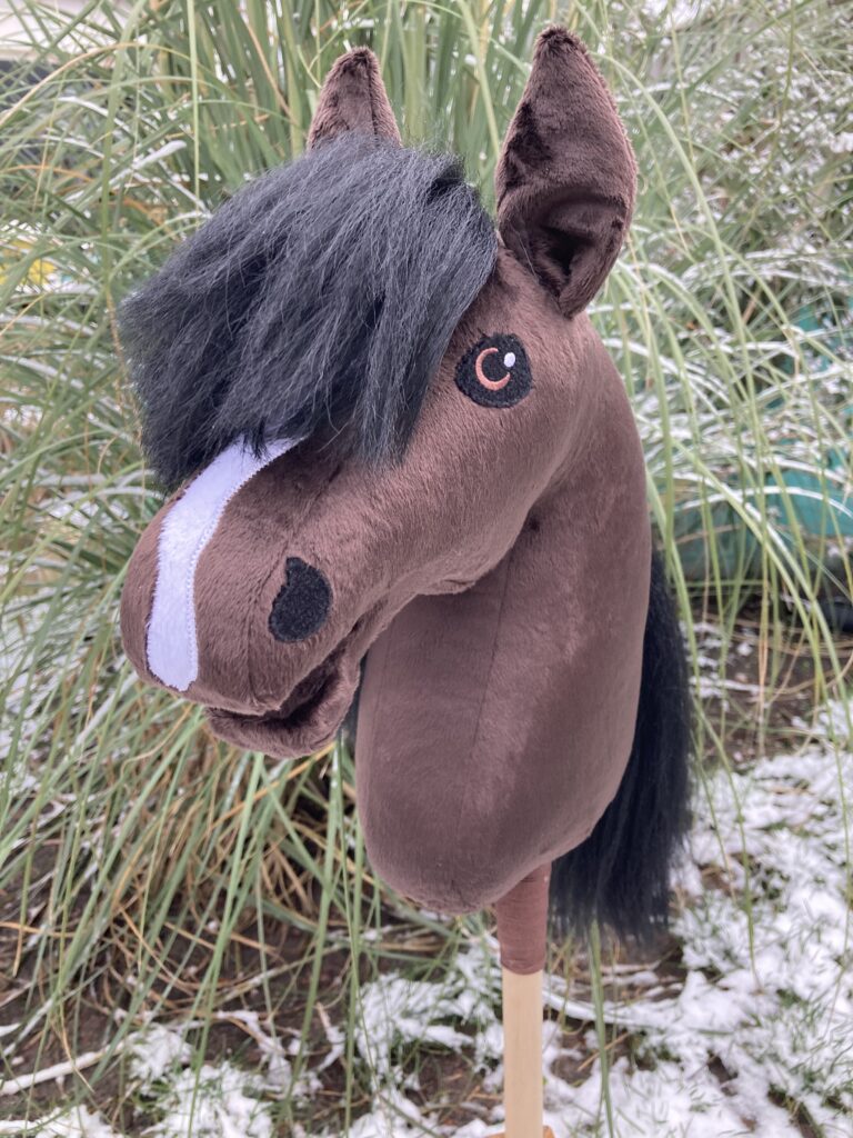 Hobby Horses